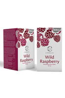 Camellia Tea Wild Raspberry – napar owocowy